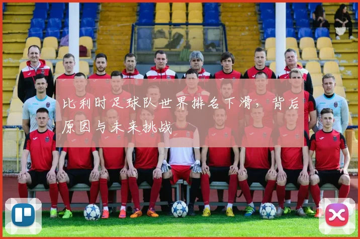 比利时足球队世界排名下滑,背后原因与未来挑战
